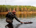 Hökensås fishing / angling
